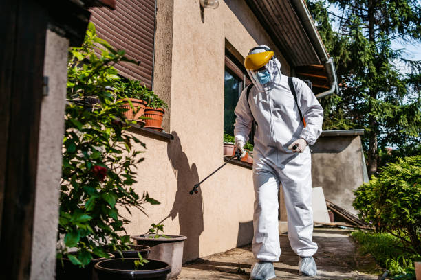 Best Mosquito Control Services  in Monterey, CA