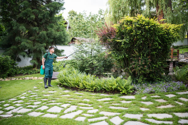 Best Cockroach Control Services  in Monterey, CA