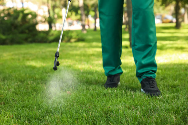Best Pest Control Near Me in Monterey, CA