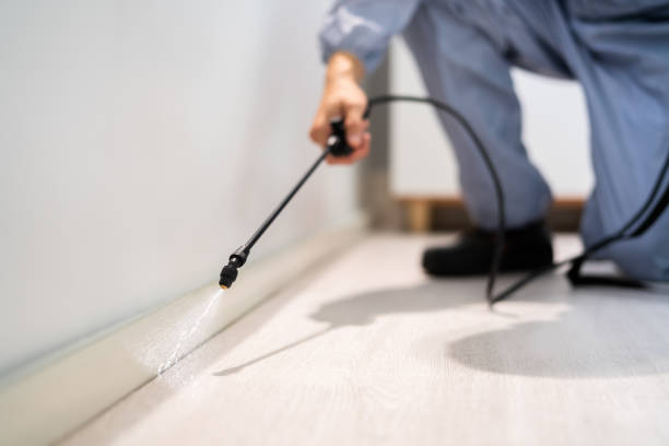 Best Pest Control Near Me in Monterey, CA