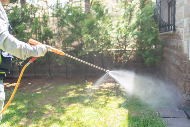 Best Best Pest Control Companies  in Monterey, CA