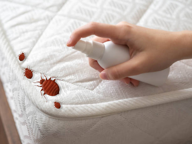 Monterey, CA Pest Control Company